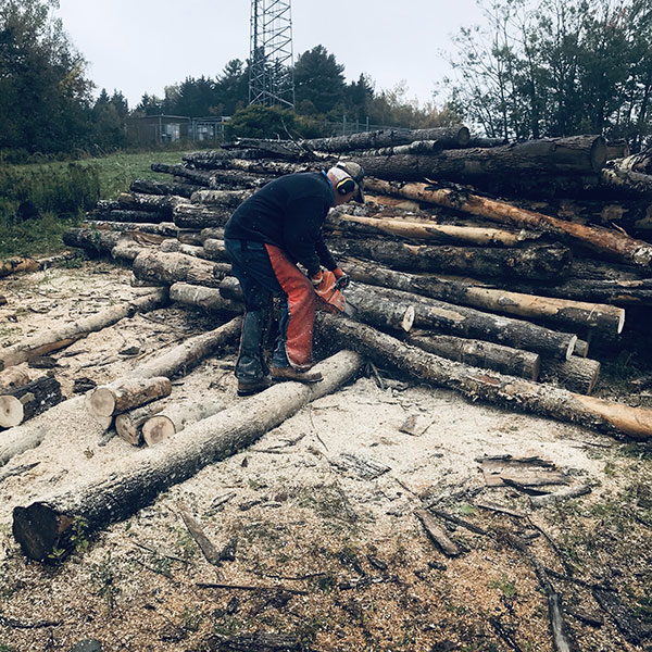 Castine Wood Bank volunteer with a chainsaw cutting firewood length